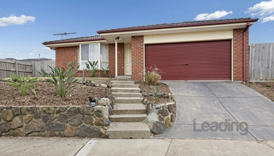 Picture of 44 Backhaus Avenue, SUNBURY VIC 3429