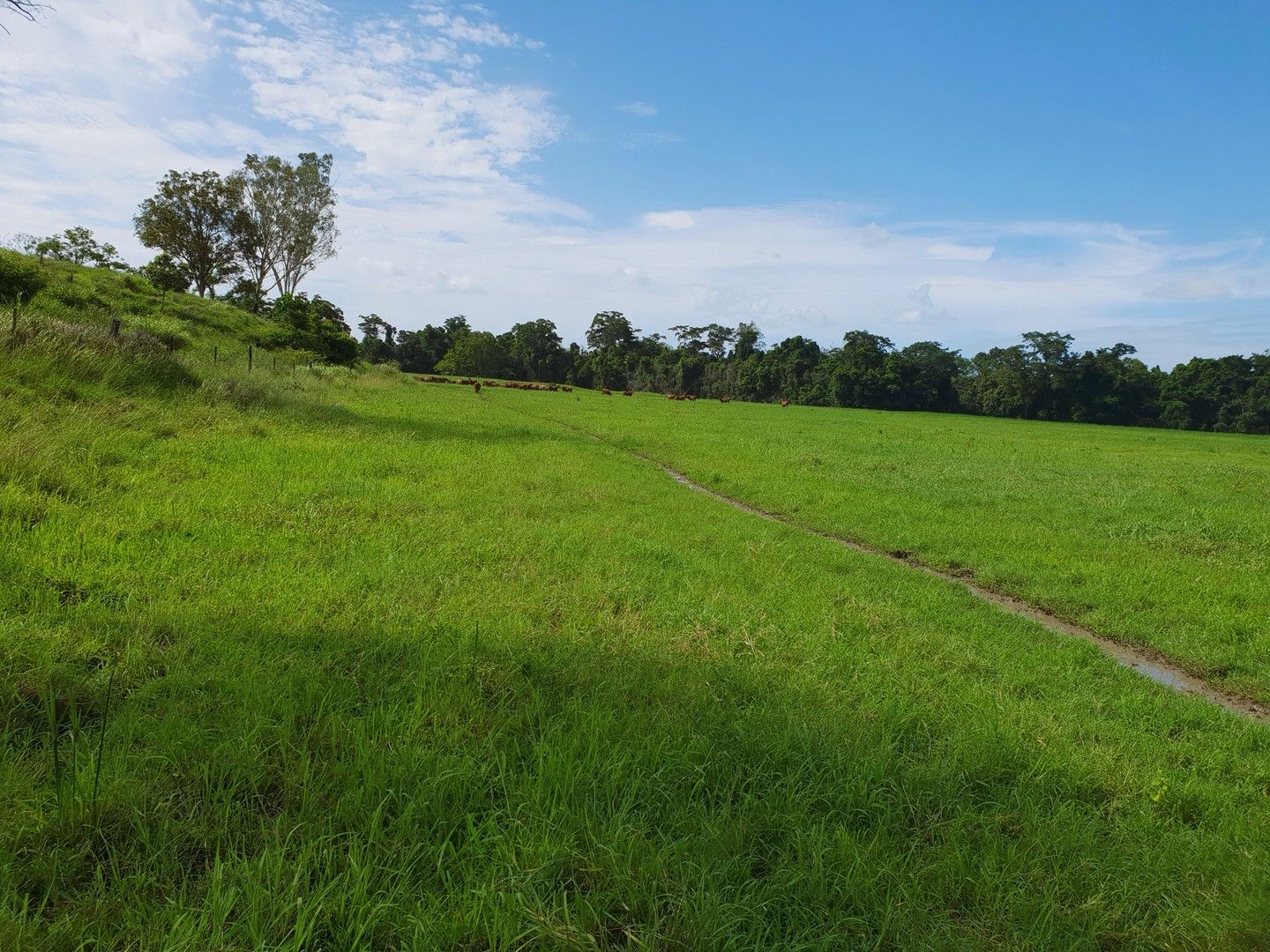 Mount Ossa QLD 4741 House for Sale Domain