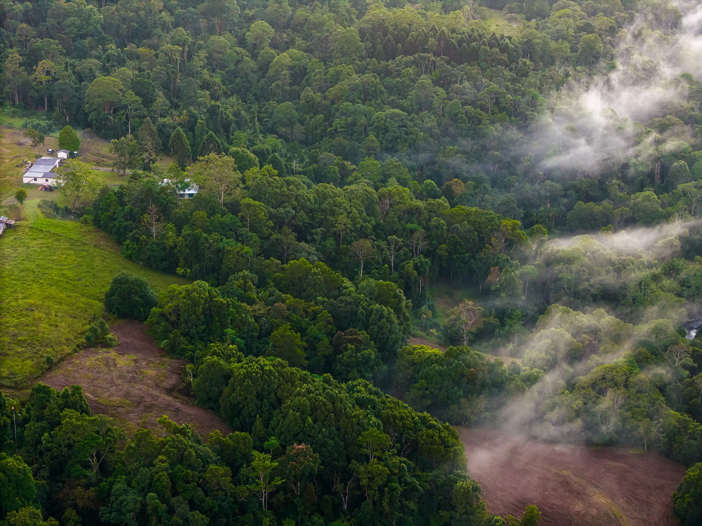 Additional image 29 of 1028 Wilsons Creek Road, Wilsons Creek NSW 2482