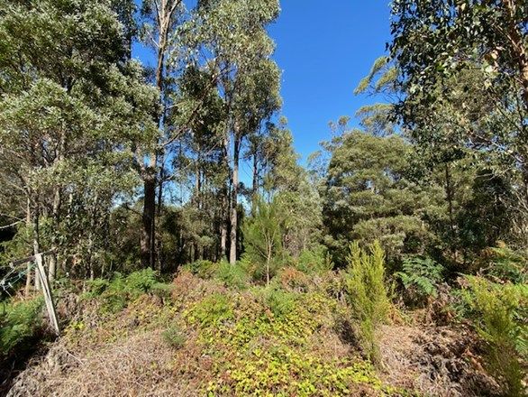 - Moriarty Road, Moriarty TAS 7307, Image 2