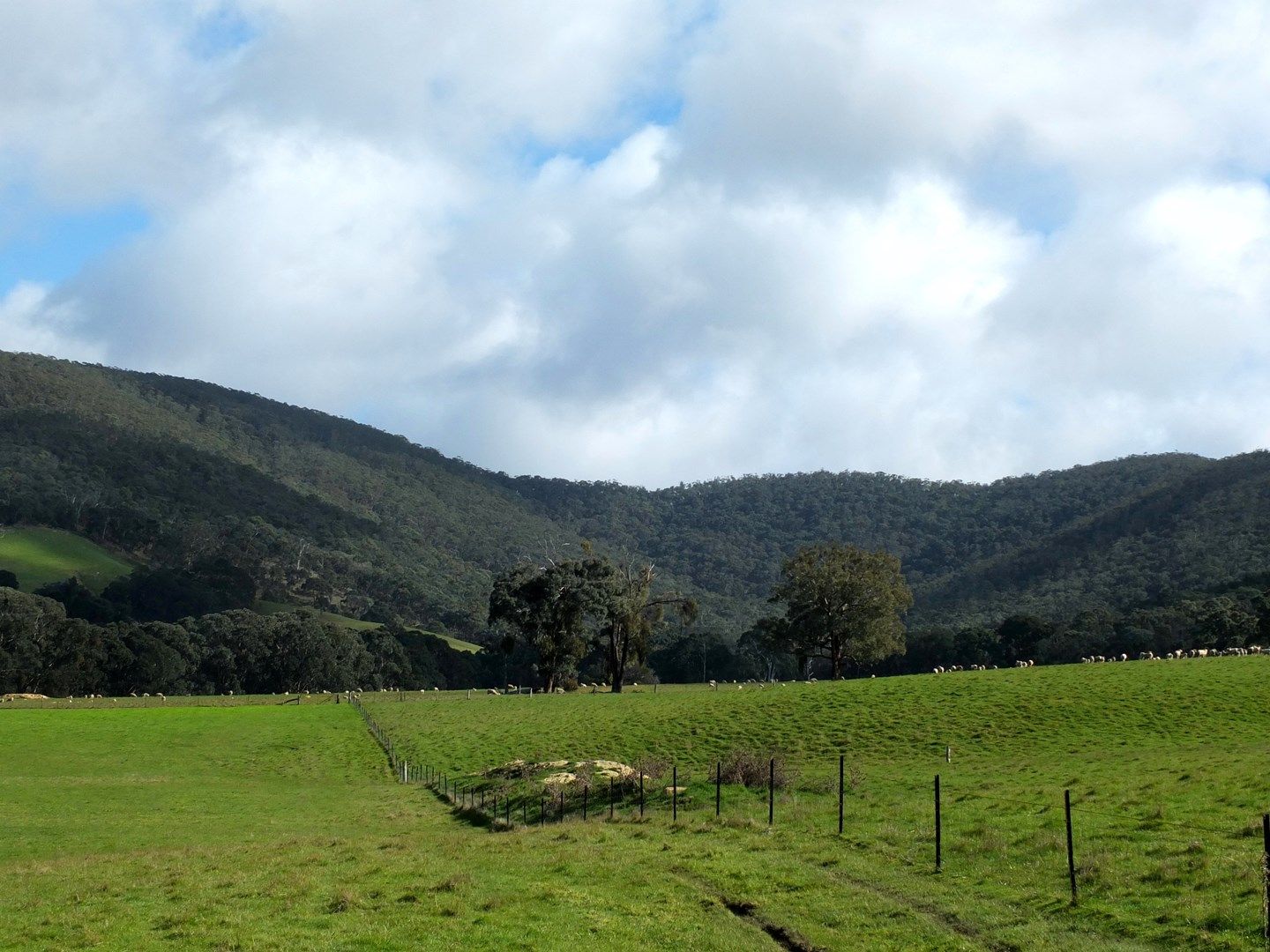 CA19 Mountain Hut Road, Amphitheatre VIC 3468, Image 0