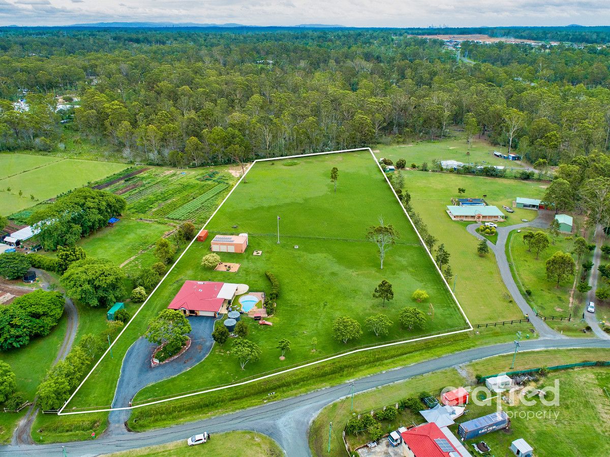 31 Gracelands Drive, North Maclean QLD 4280, Image 1