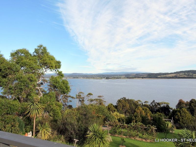 117 St Helens Point Road, STIEGLITZ TAS 7216, Image 1