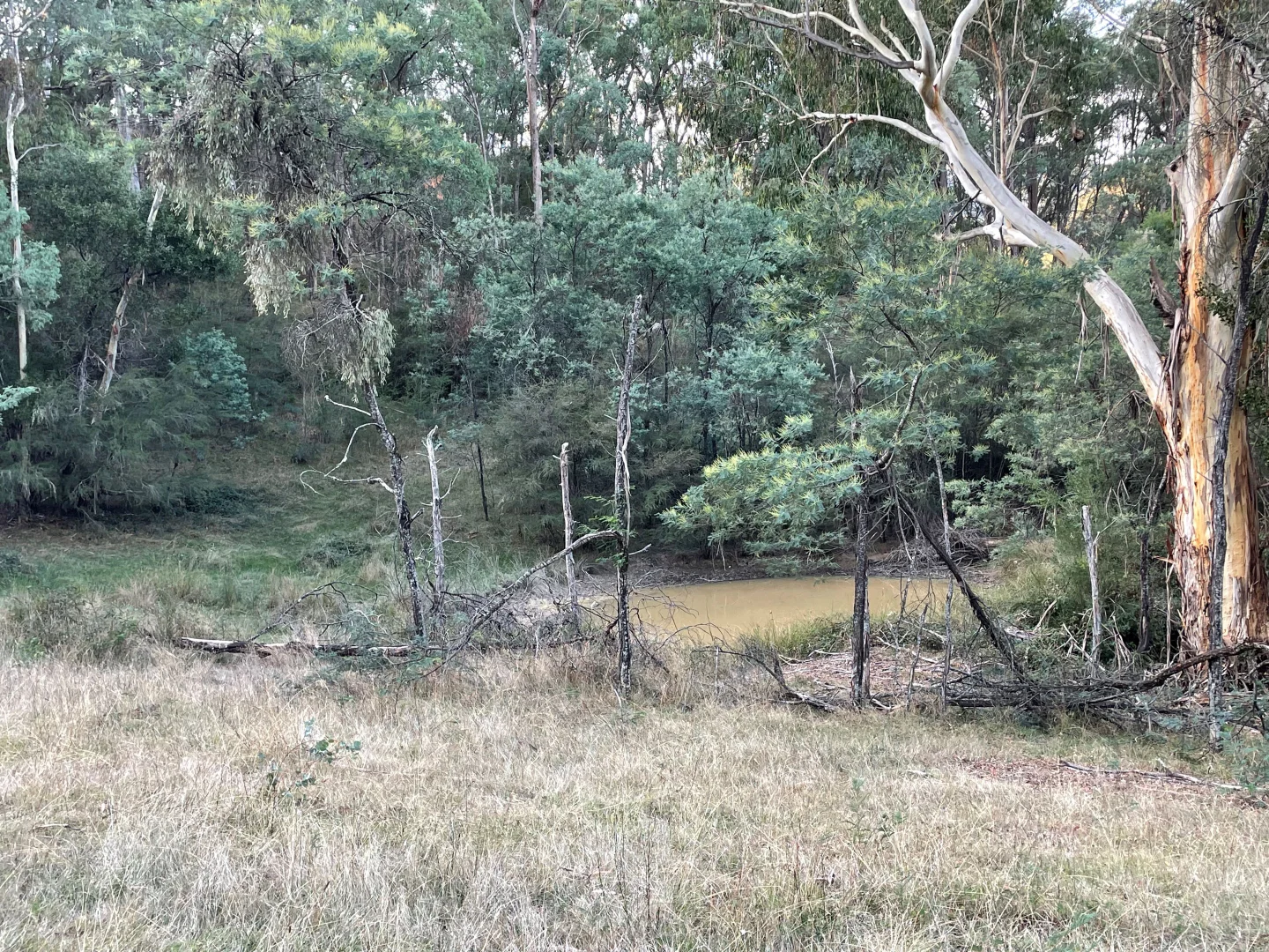 Image 15