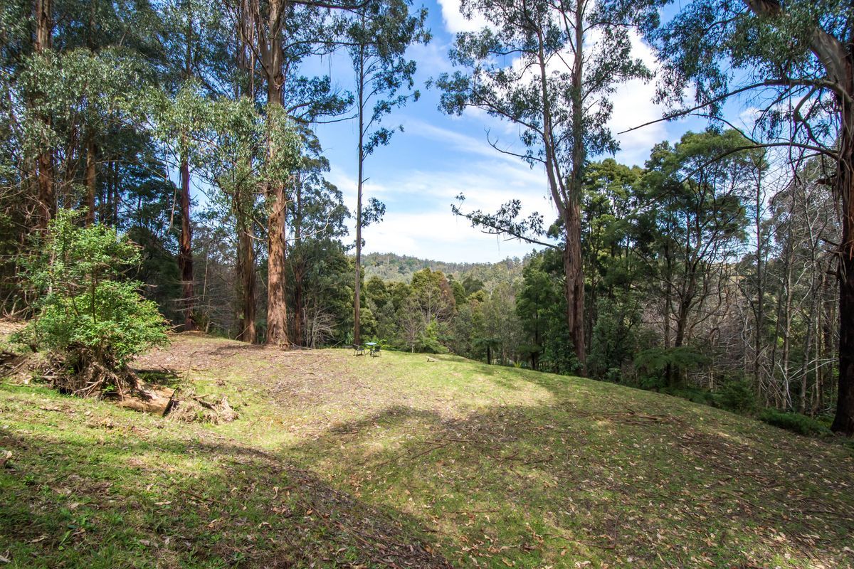 52 Upper Coonara Road, Olinda VIC 3788, Image 1