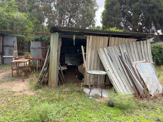 Image 15