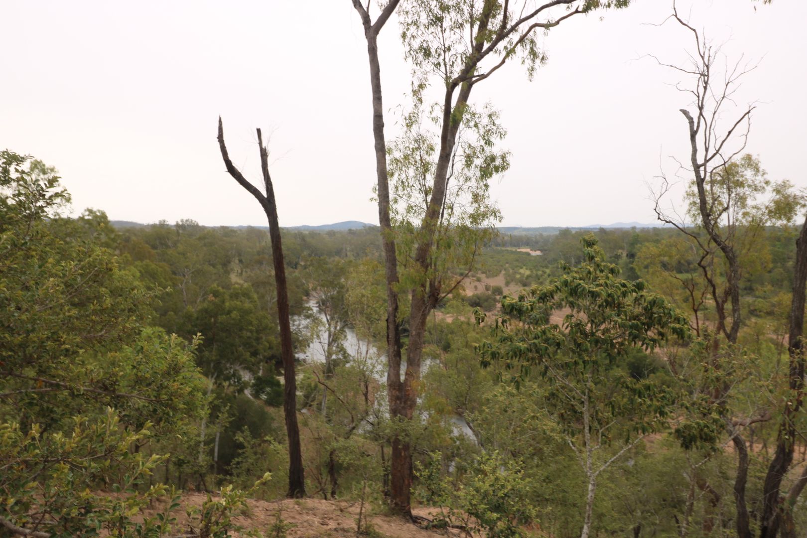Rural in L161 Old Booyal  Road, DALLARNIL QLD, 4621