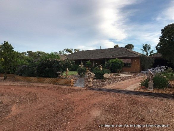 LOT 250 'Clae Manor', Condobolin NSW 2877, Image 2