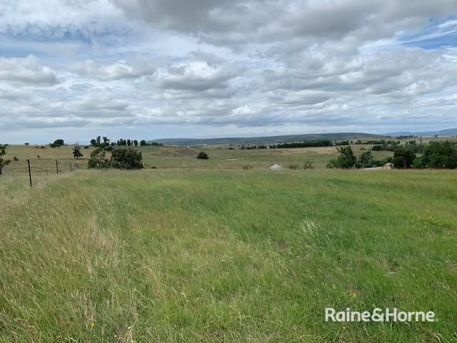 164 Smiths Road, Wirrimah NSW 2803, Image 1