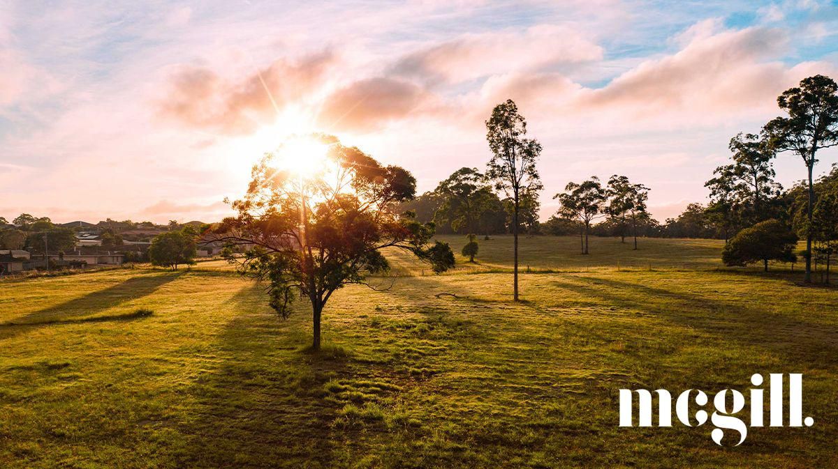 Vacant land in Lot 19 Bradman Street, D'AGUILAR QLD, 4514