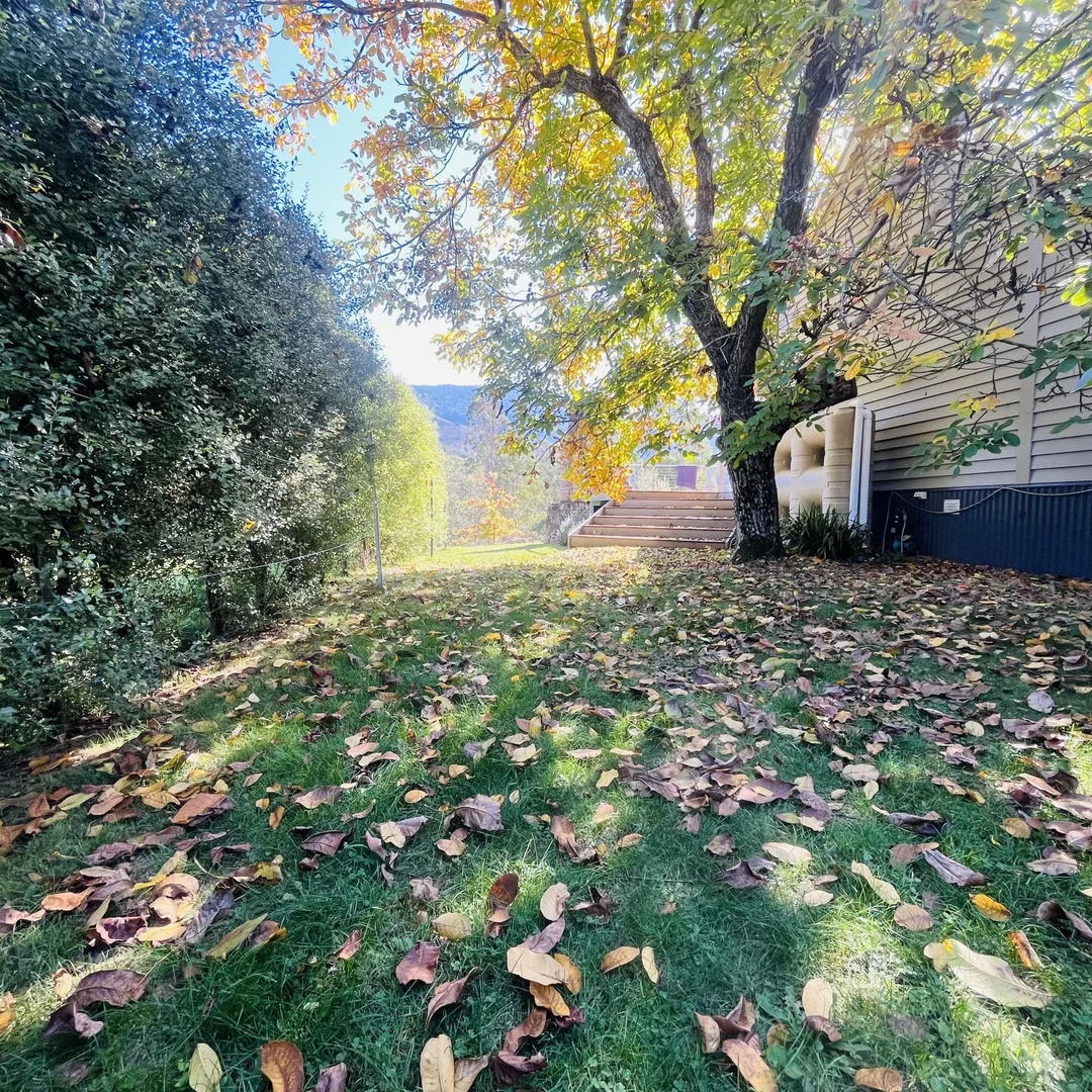 Additional image 23 of 586 Morses Creek Road, Wandiligong VIC 3744