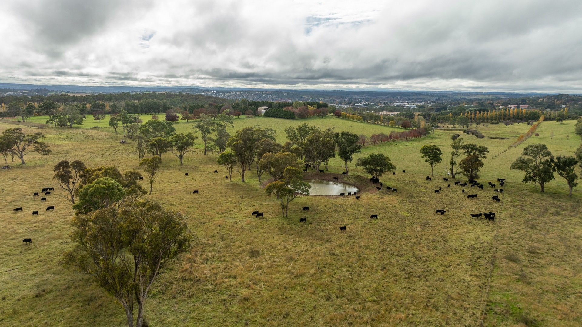 261-335 Bundarra Road, Armidale NSW 2350, Image 0