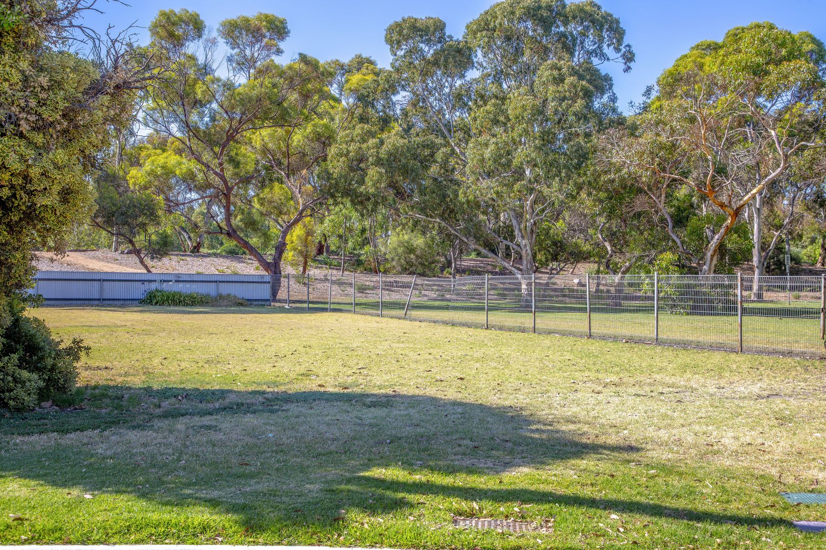 41 Kingswood Crescent, Lockleys SA 5032, Image 2