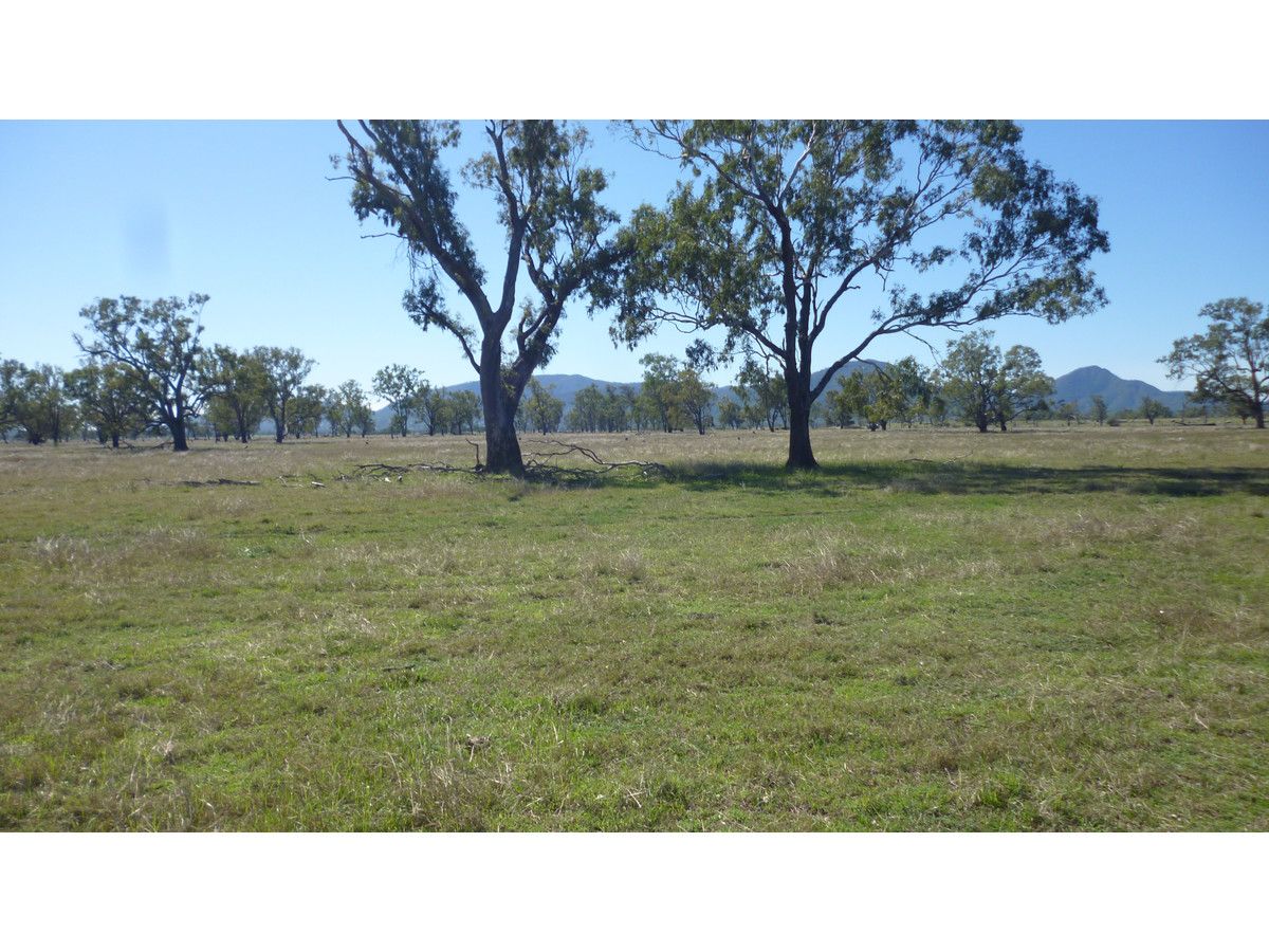 169 Port Curtis Road, Port Curtis QLD 4700, Image 1