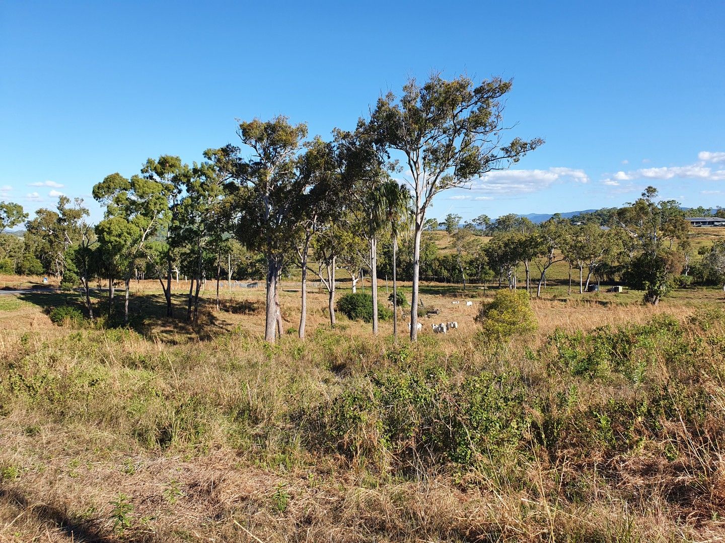 Lot 47 Moonlight Drive, Sarina QLD 4737, Image 0