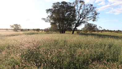 Picture of 0 Bishop Road, GARNANT QLD 4702