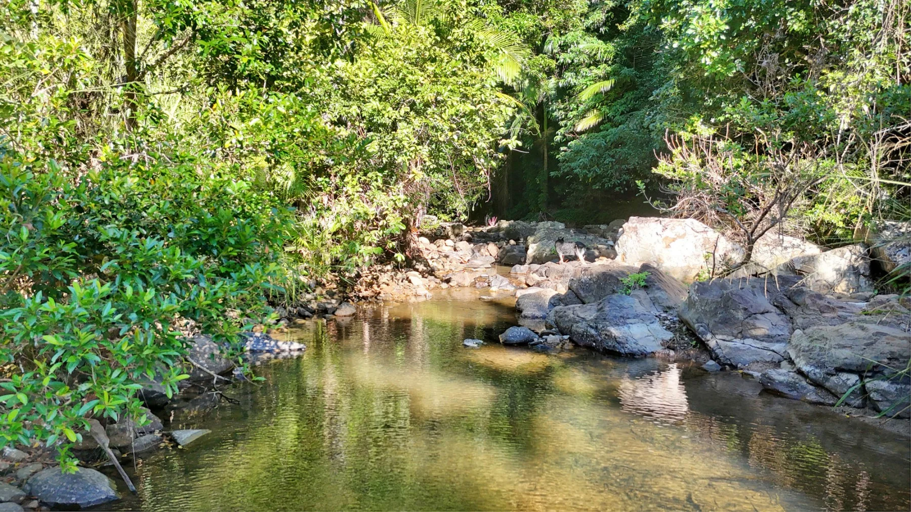 Image 21