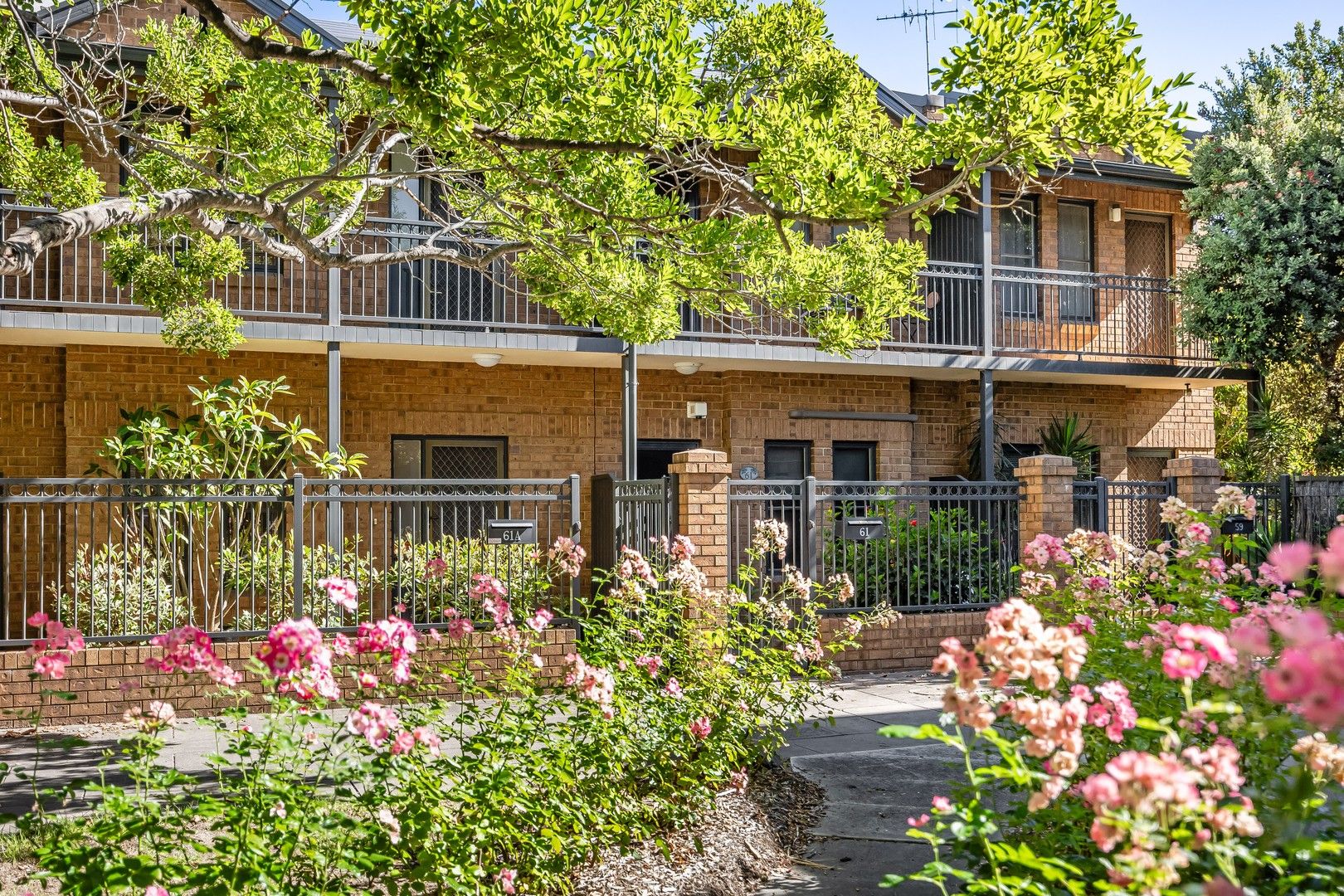 61A Hurtle Square, Adelaide SA 5000, Image 0