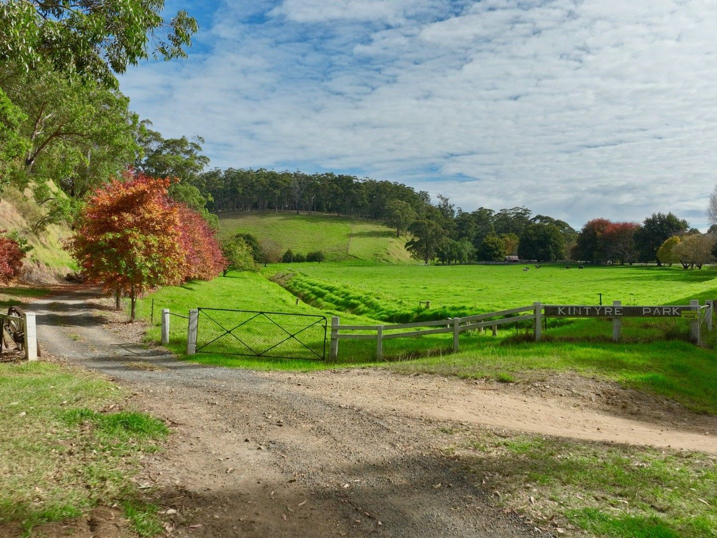 453 Buchan-Orbost Road, Bete Bolong VIC 3888, Image 1