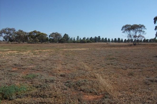 Picture of Lot 31 Caddy Road, LOVEDAY SA 5345