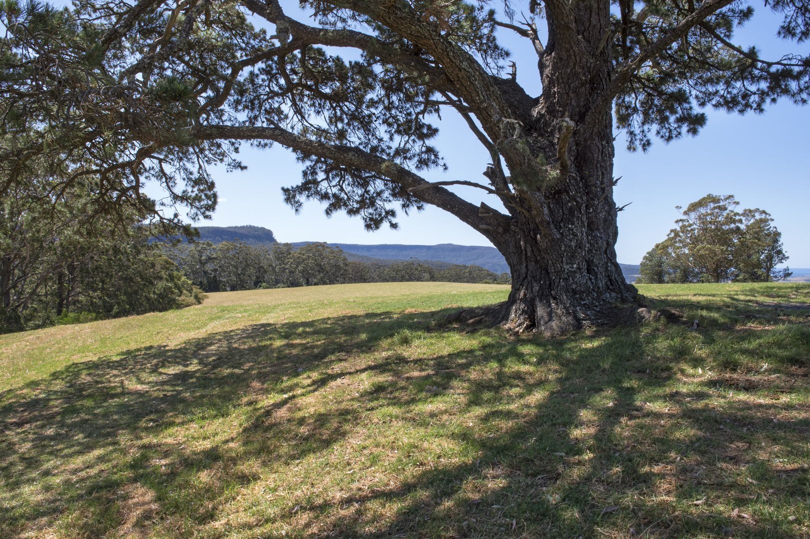 Berry Mountain NSW 2535, Image 2