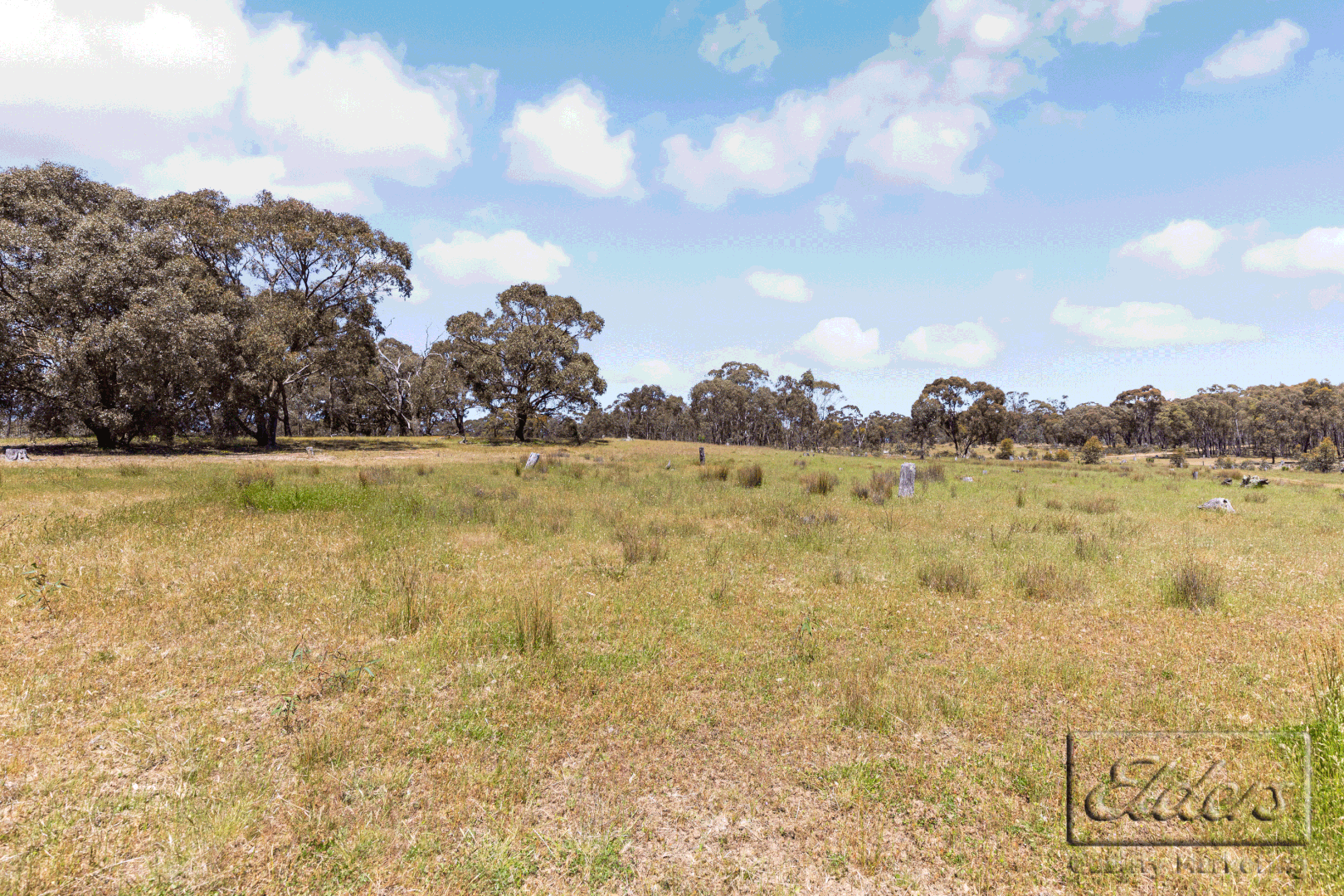 55 Acres Reyn Road, Sedgwick VIC 3551, Image 2