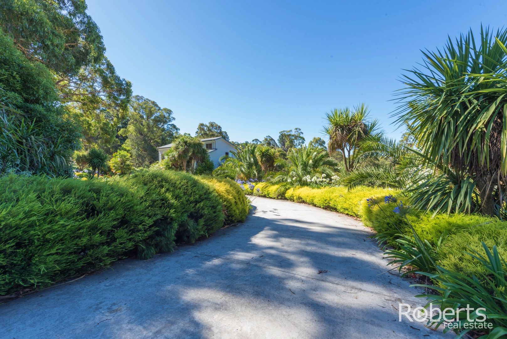 31 Bradys Lookout Rd, Rosevears TAS 7277, Image 2