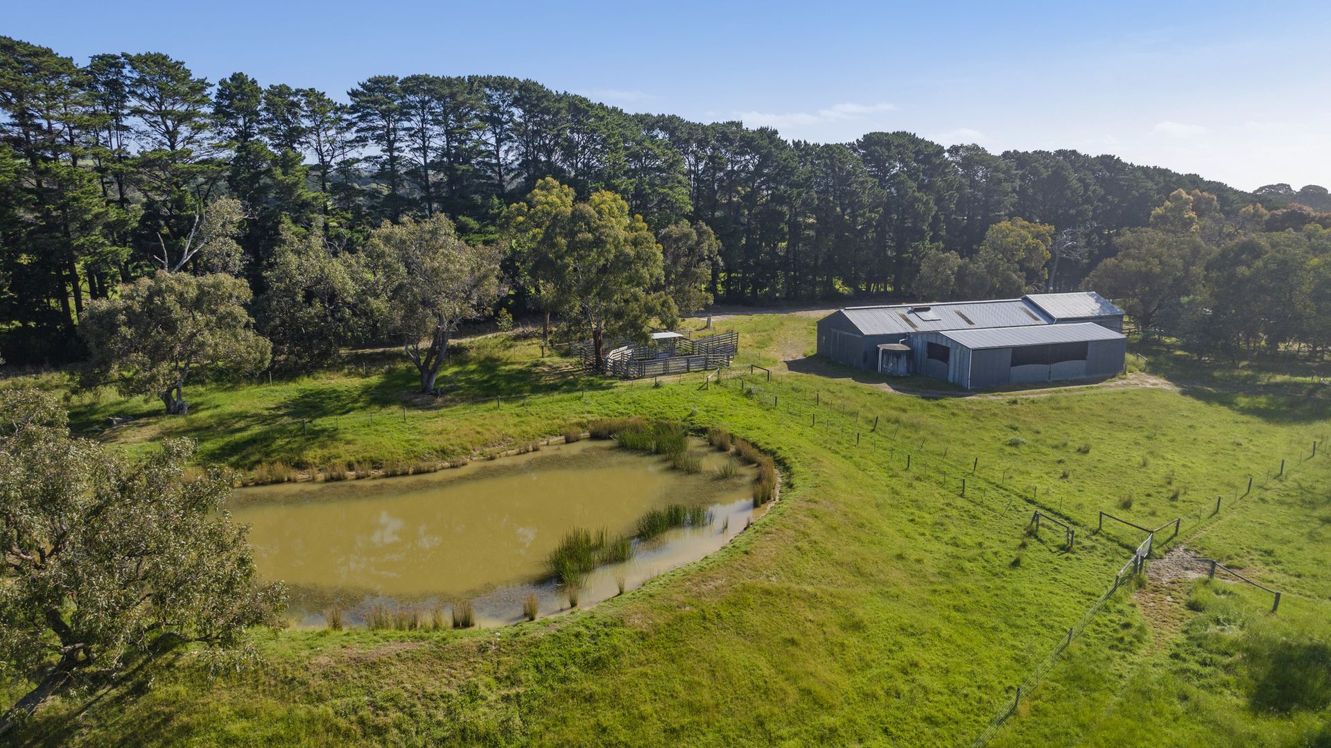 365 Wallaces Road, Dromana VIC 3936, Image 1