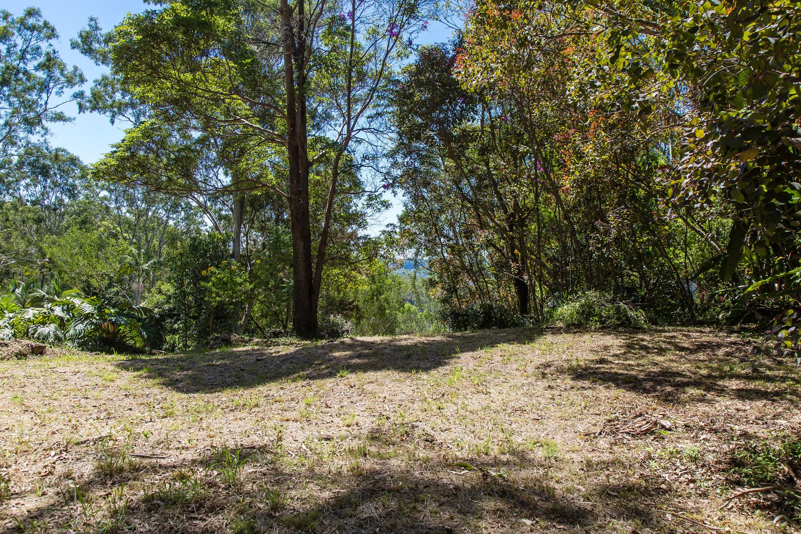 45 Meher Road, Kiels Mountain QLD 4559, Image 1