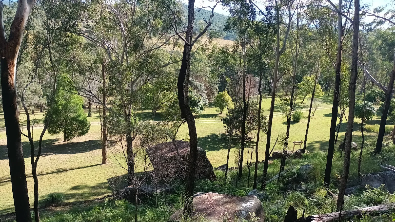 Image 11