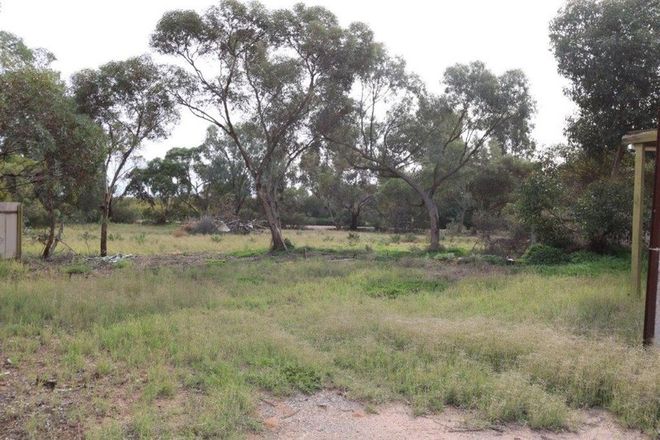 Picture of 31 Old Blanchetown Rd, WAIKERIE SA 5330
