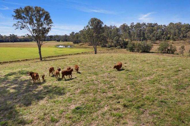 Picture of 30 Diamondfield Road, AMAMOOR QLD 4570