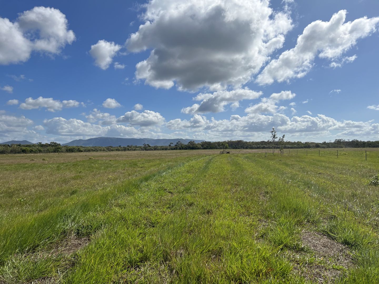 63 Minke Road, Cooktown QLD 4895 Vacant Land for Sale Domain