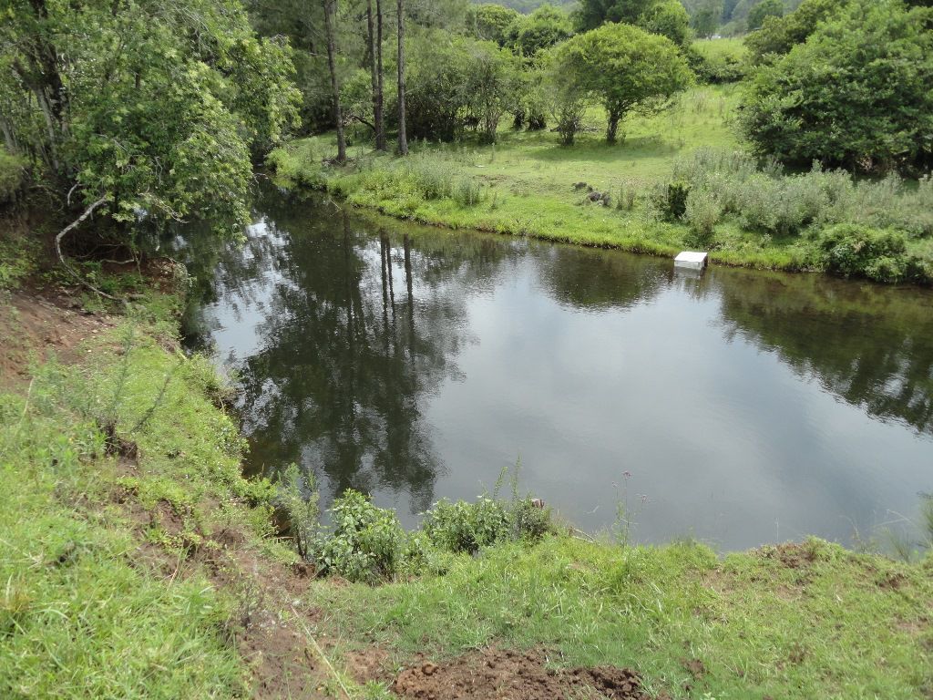 Kyogle NSW 2474, Image 1