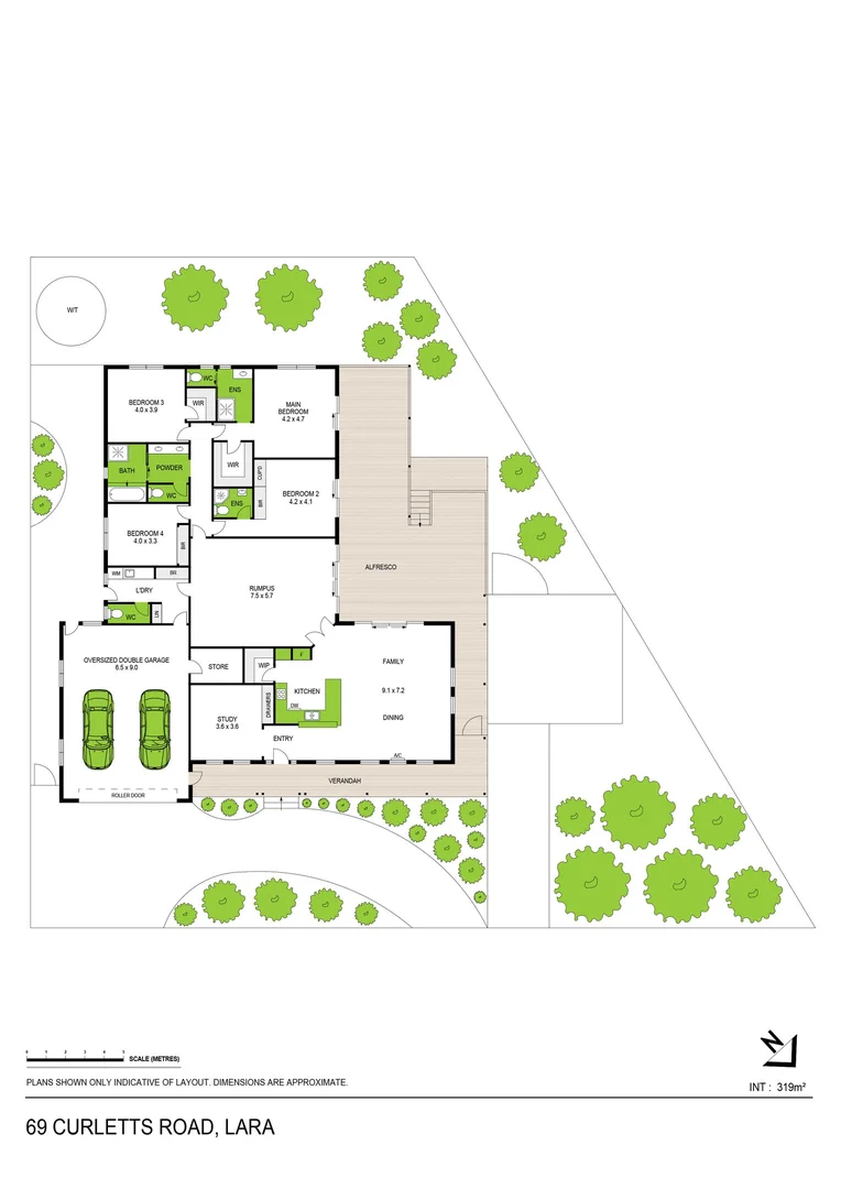 Image 21