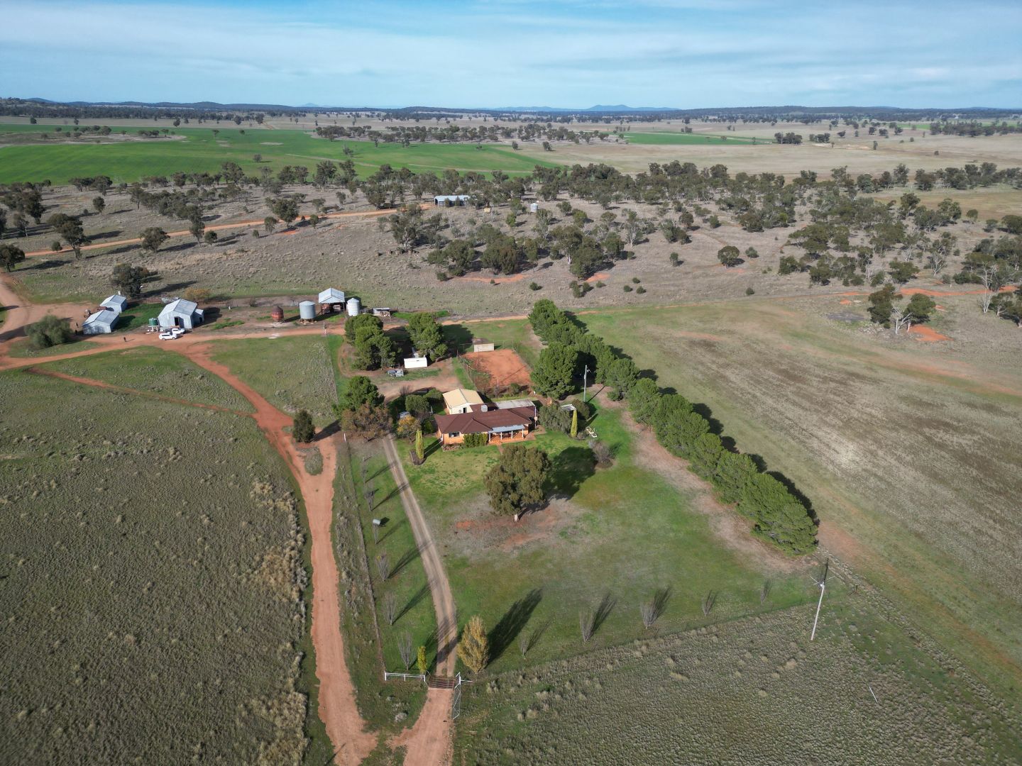 'Nyrang' 3013 Mid Western Highway, West Wyalong NSW 2671, Image 1