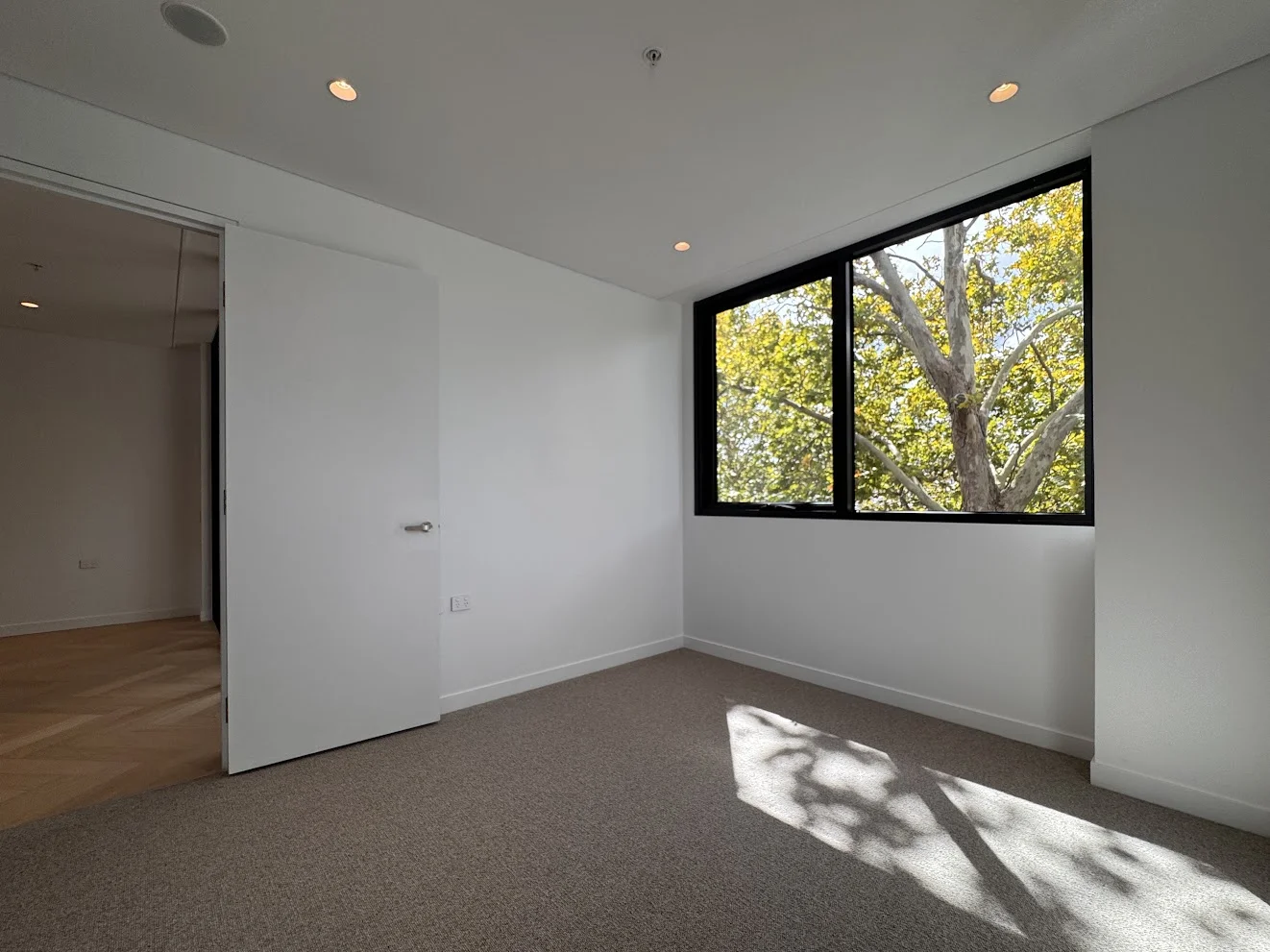 Additional image 9 of Level 2, 217/51 Falcon Street, Street, Crows Nest NSW 2065