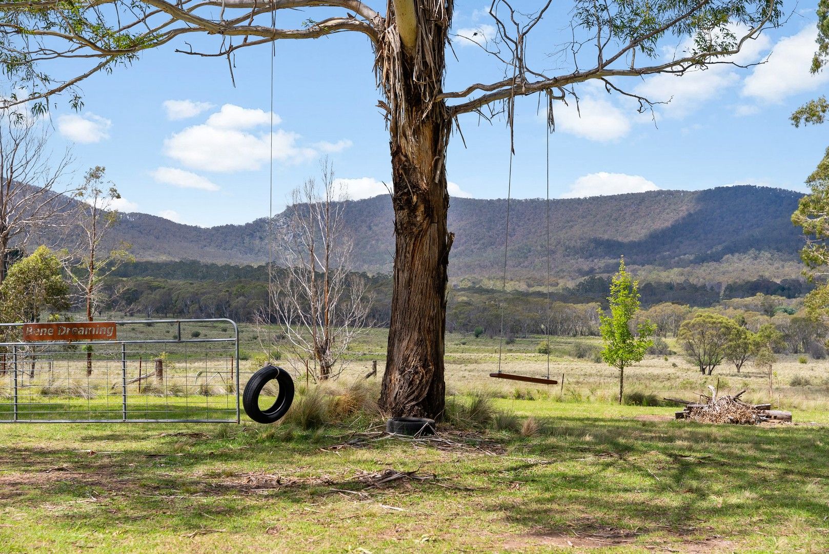 103 Blue Bush Road, Wyanbene NSW 2622, Image 1