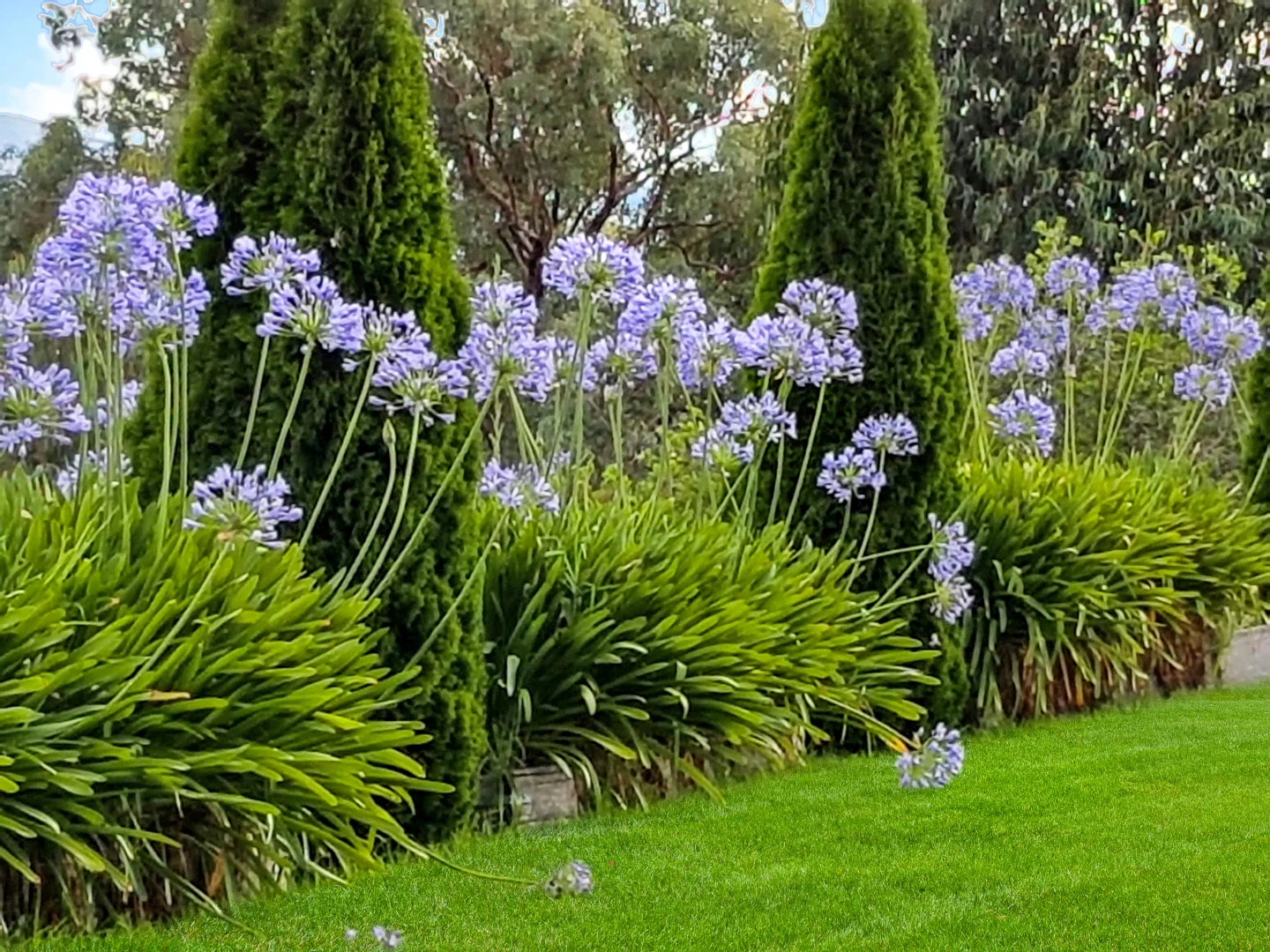 Image 17