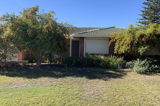 Picture of 3 Thetis Place, COOLOONGUP WA 6168