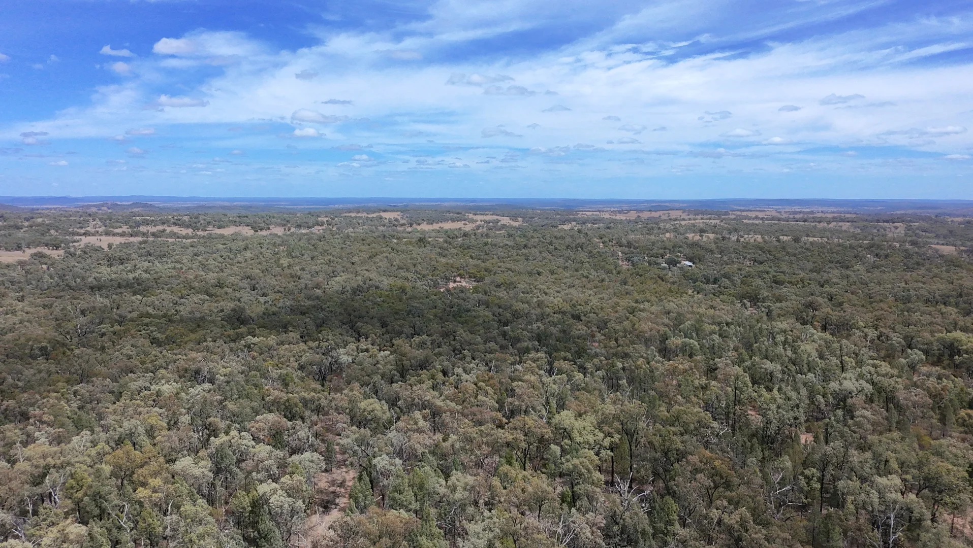 Additional image 16 of 566 Waverley Lane, Silver Spur QLD 4385