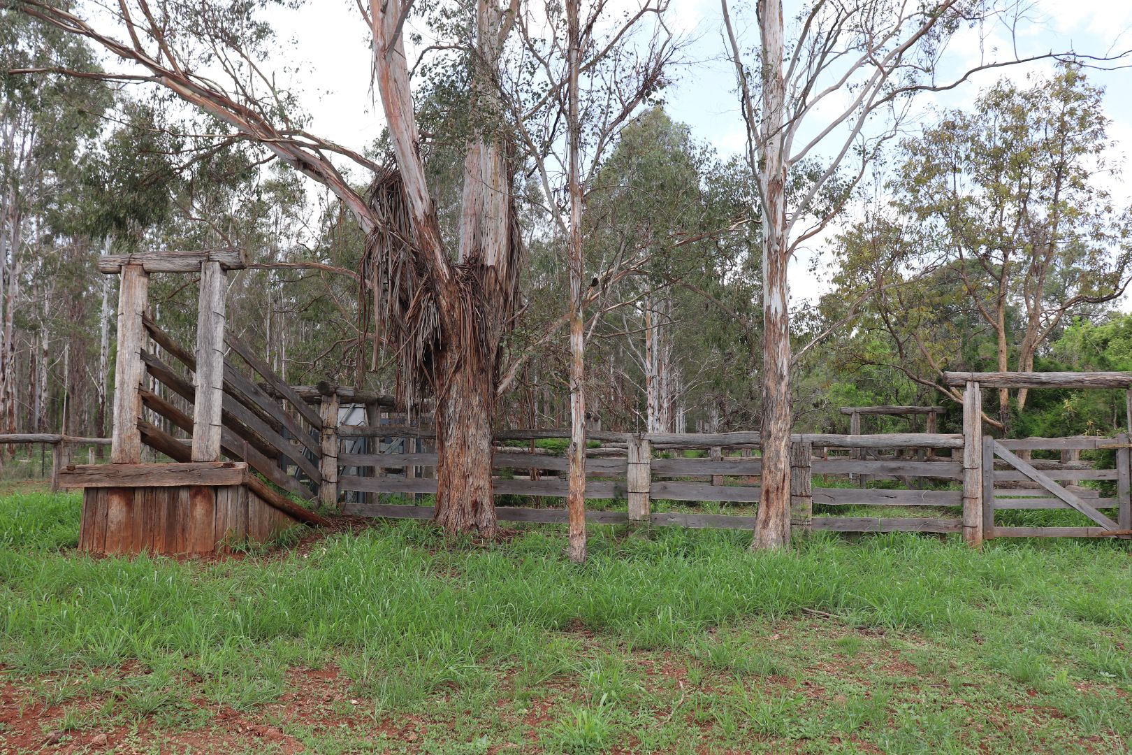 Lot 189 Birt Road, Memerambi QLD 4610, Image 2