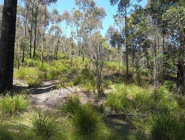 Lot 2 Nicklasons Road, Pyengana TAS 7216, Image 2