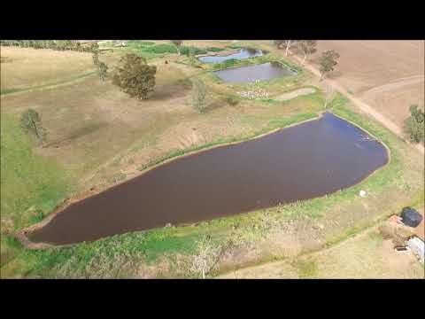 Kirkvale Orange Road, Parkes NSW 2870, Image 1