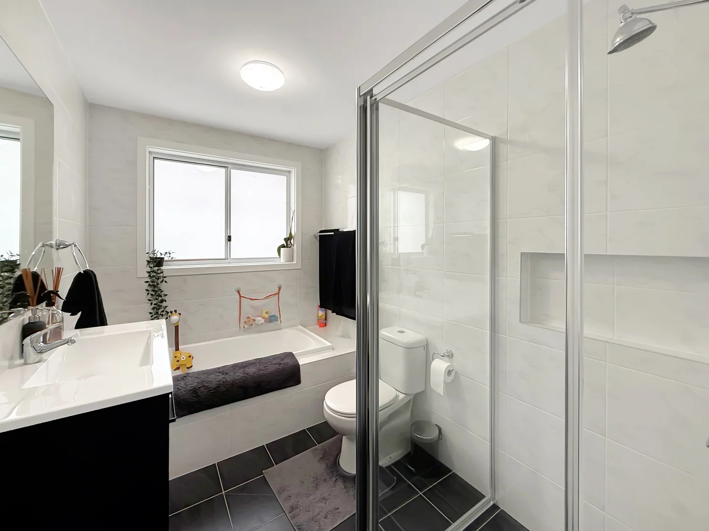 Additional image 7 of 20 Circinus Street, Austral NSW 2179