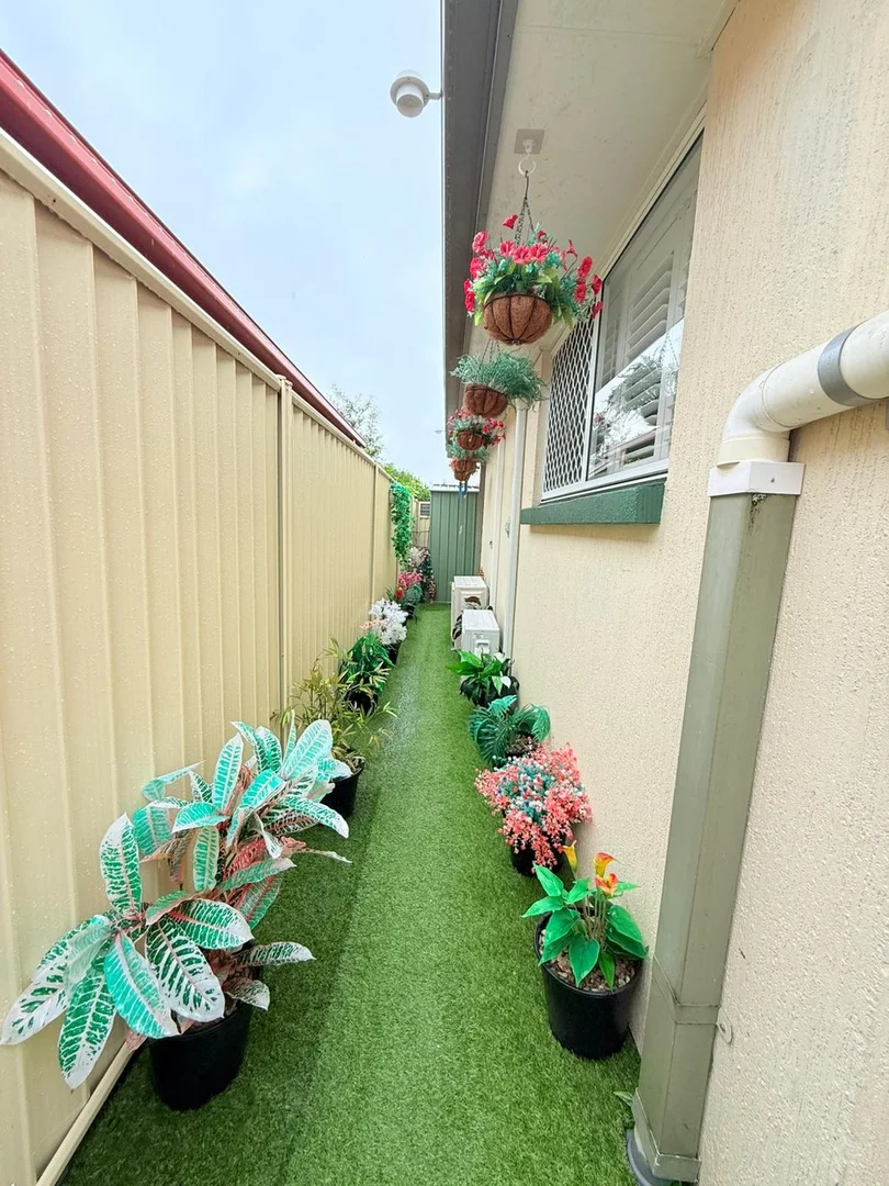 Image 15