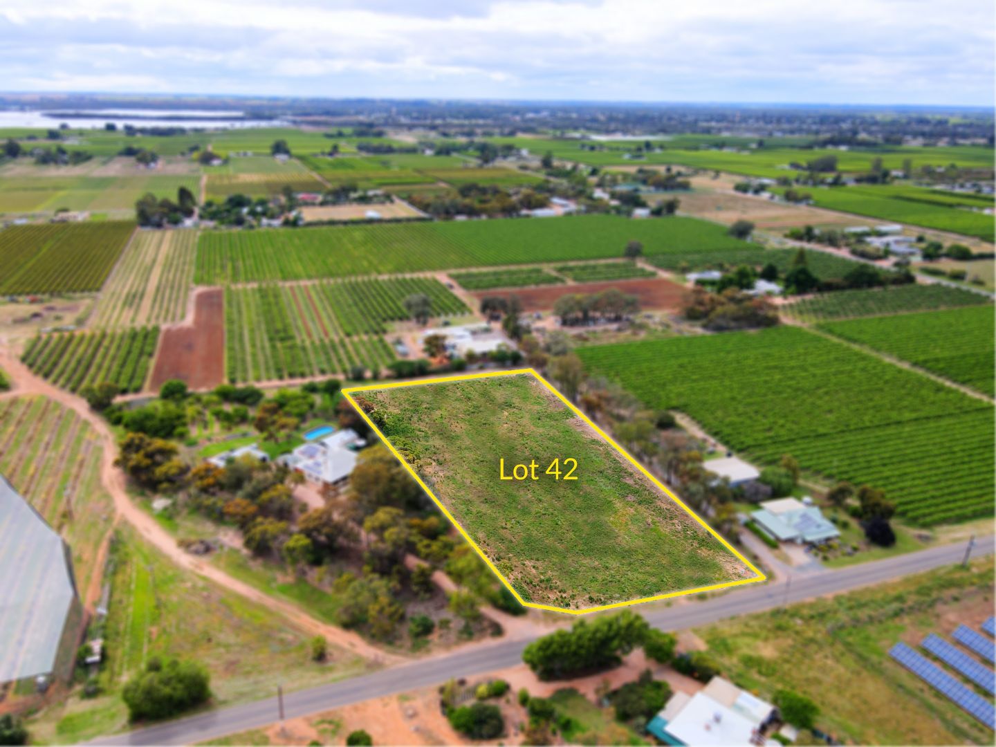 Lot 42 Tarcoola Street, Renmark SA 5341 Domain