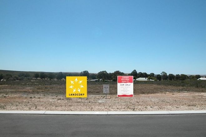 Picture of Lot 33 Dodd Street, BADGINGARRA WA 6521