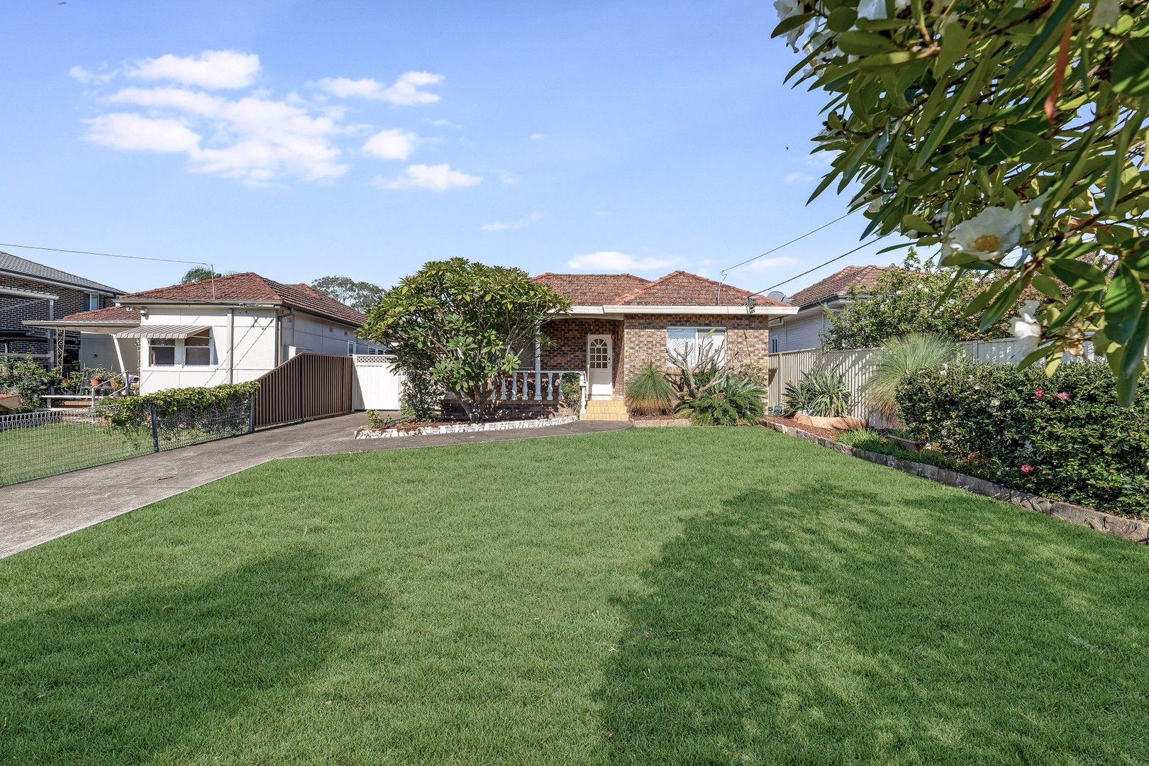 33 Shenstone Rd, Riverwood NSW 2210, Image 0