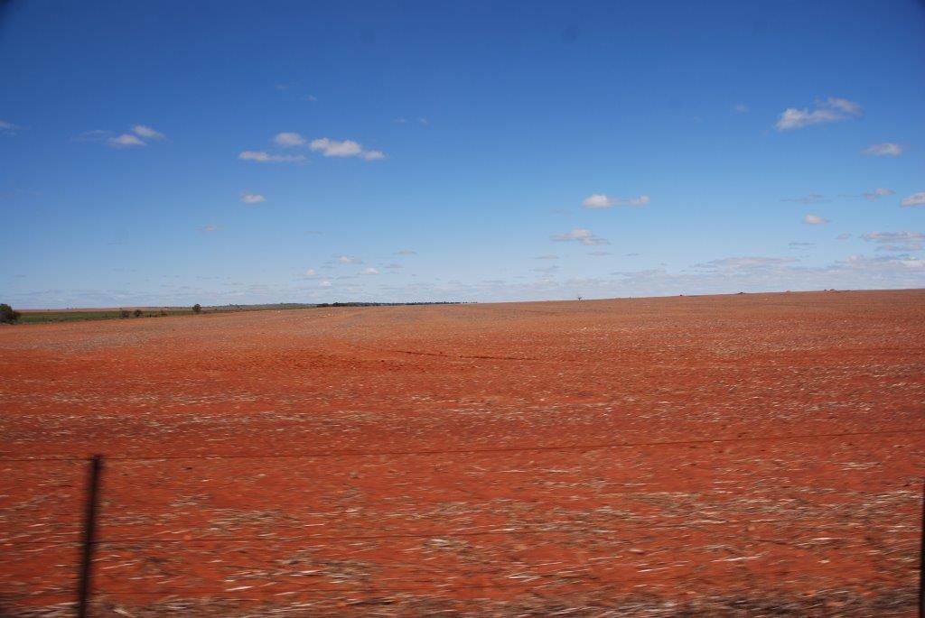 382 CarnarvonMullewa Road, Mullew Property History & Address